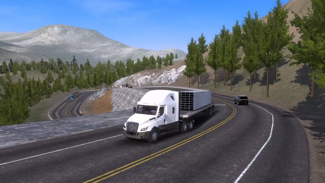 Truck Simulator Legends: USA - Screenshot 2