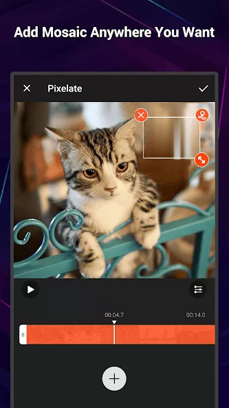 VideoShow Pro Screenshot 4