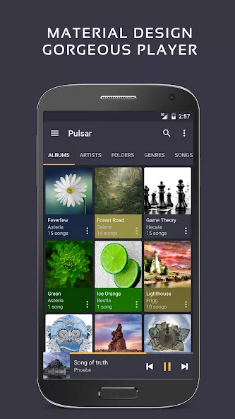 Pulsar Music Player Pro - Screenshot 2