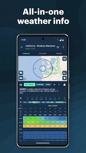 Tangkapan layar Windy.app Pro 2