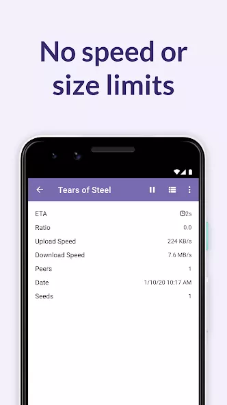BitTorrent Pro – Torrent App preview 2