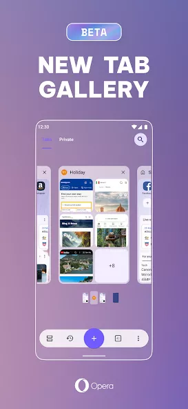 Opera browser screenshot 1