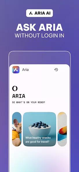 Opera browser screenshot 2