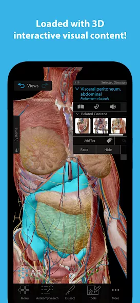 Human Anatomy Atlas 2025 preview image 1