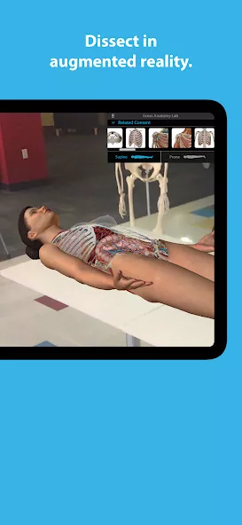 Human Anatomy Atlas 2025 preview image 5