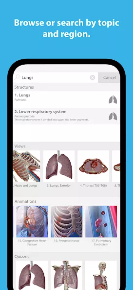 Human Anatomy Atlas 2025 preview image 4