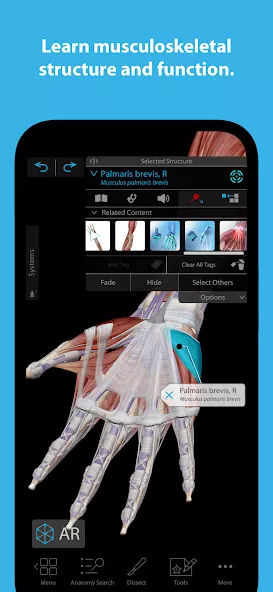 Human Anatomy Atlas 2025 preview image 3